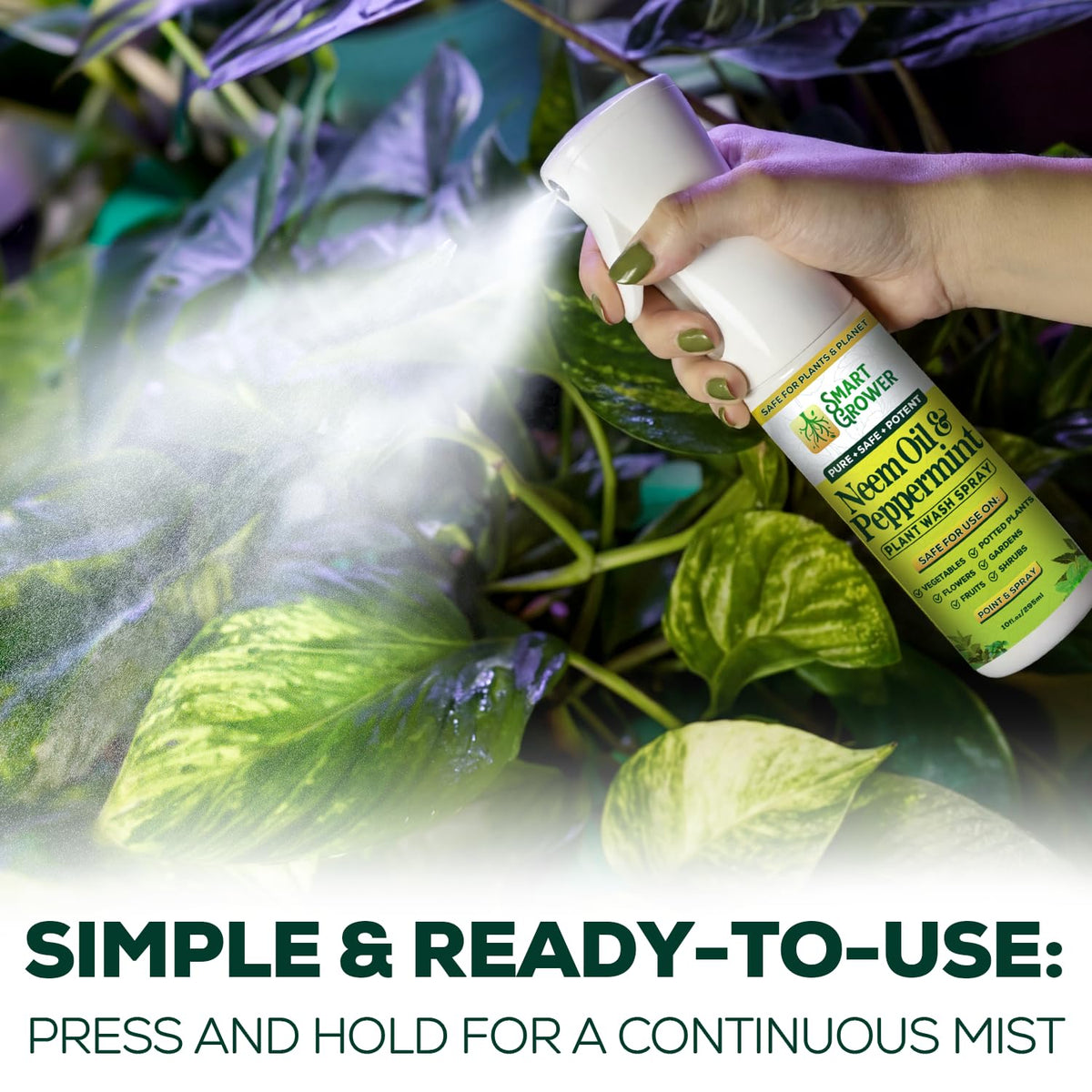 SAFE PLANT SPRAY PACK OF 3